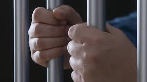 Check spelling or type a new query. You Wouldn T Do It To An Animal Jail For Corkman Who Seriously Injured Student In Hit And Run