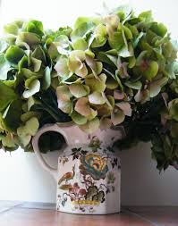 These natural hydrangeas vary in size but are… Hydrangea Flowers Drying In A Decorative Ceramic Jug Http Driedflowercraft Co Uk Hydrangea Flower Dried Flowers Dried Hydrangeas