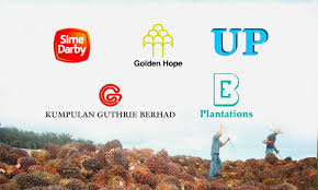 Plantation tower no.2, jalan pju 1a/7 main block, level 3, ara damansara petaling jaya, selangor 47301. Malaysiakini Western Footprints In Malaysian Oil Palm Innovation