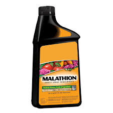 Malathion 121 75 5 Latest Price Manufacturers Suppliers