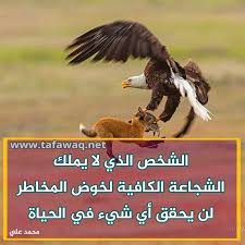 عبارات تحفيزية للذات bald eagle balding