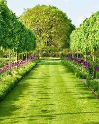 The List By House Garden On Instagram Alliums Lavender And Lime Trees Are The Name Of The Game In In 2020 Landscape Design Allium Garden Interior Design Instagram