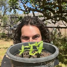 Wave of Sound by Nathan Abbey: Listen