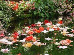 33 Japanese Garden Landscaping Ideas Ways To A Perfect Balance Japanese Garden Plants Japanese Garden Japanese Garden Design