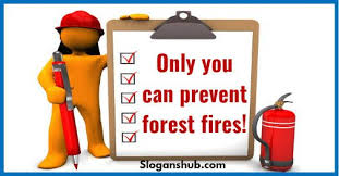 A dead camp fire means a live forest. 55 Catchy Fire Safety Slogans Safety Slogans Fire Safety Slogan