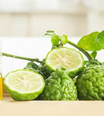 In addition to being the star flavor of earl grey tea, the zest and flesh of the bergamot fruit are used in europe as a flavoring in cookies, custards, marmalades, syrups, and cocktails. ØµØ­Ø© Ø§ÙØ´Ø¹Ø± ÙÙÙÙØ© Ø§Ø³ØªØ®Ø¯Ø§Ù Ø§ÙØ²ÙÙØª Ø§ÙØ£Ø³Ø§Ø³ÙØ© ÙÙÙÙ Ø§ÙØ´Ø¹Ø±