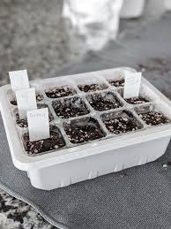 Many cacti have very specific ecosystems that make an estimate of how much soil is going to be needed to fill the number of pots that are going to. How To Grow Succulents From Seeds Unugtp