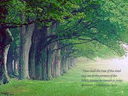 1 Chronicles 16 33 Sing For Joy Tree Wallpaper Backgrounds Christian Wallpaper Free Christian Wallpaper