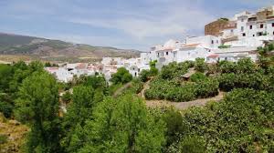 Maybe you would like to learn more about one of these? Information Uber El Burgo Villas Fincas