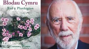 Blodau Cymru'n cipio Llyfr y Flwyddyn 2018