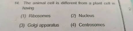 We did not find results for: 14 The Animal Cell Is Different From A Plant Cell In Having 1 Ribosomes 2 Nucleus