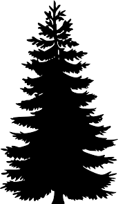 We did not find results for: Png Clipart Clip Art Pine Tree White Vector