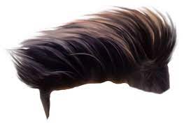 This Is Full Hd Hair Png For Men Can Be Used For Picsart As Well As For Photoshop In The Purpose Of Editing Photos Where St Hair Png Photoshop Hair Picsart