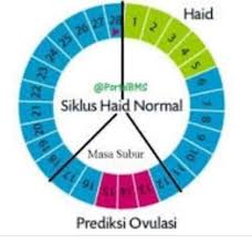 Sementara bagi wanita dewasa, haid tidak teratur dapat diklasifikasikan menjadi beberapa tipe, termasuk haid tidak lancar adalah kondisi umum terkait ketidakseimbangan hormon, namun anda mungkin harus konsultasi ke dokter bila siklus menstruasi tidak teratur dalam waktu yang cukup. Cara Menghitung Masa Subur Hidup Sehat Alami Facebook