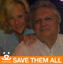 Did anyone lose a white cat in the Indian Grove area?