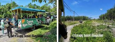 Tasik villa international resort on facebook. Negeri Sembilan Ns Dairy Farm Escapy Travel Mag