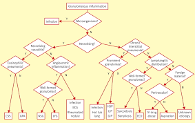 Check spelling or type a new query. References In Pulmonary Granulomas Differential Diagnosis Histologic Features And Algorithmic Approach Diagnostic Histopathology