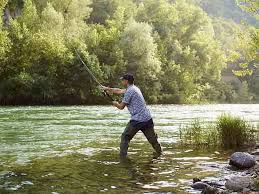 Umpan ikan nila berupa pelet memang banyak tersedia di berbagai toko alat pancing dan toko ikan. Tips Jitu Menentukan Spot Mancing Terbaik Di Air Tawar Dan Air Laut