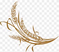 rice icon rice paddy happy birthday vector images rice paddy png pngwing rice icon rice paddy happy birthday