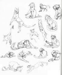 30 How To Draw Warrior Cats Ideas Warrior Cats Warrior Cat Drawing Deviantart is the world's largest online social community for artists and art enthusiasts, allowing people to connect through the creation and sharing of art. warrior cats warrior cat drawing