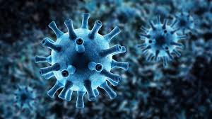 Variante delta (indiana) e altri coronavirus preoccupano l'oms: Burioni Notizie Allarmanti Da Uk Sulla Variante Indiana Delta Ma Niente Panico Medicalfacts