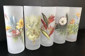 Tommy Bahama Frosted Drinking Bar Cocktail Glasses Set Of 5 Tropical Bar Glasses Bar Drinks Drinking