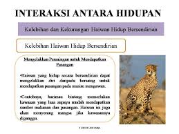 Jika, sebelum kematian, haiwan itu meninggalkan rumah, maka ia menjaga tuannya yang tercinta. Mudahnya Sains Upsr Posts Facebook