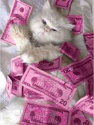Search free girly wallpapers on zedge and personalize your phone to suit you. Kitten Glitter Money Aesthetic Poster By Stuthiibhat4 Redbubble In 2021 Pink Aesthetic Pink Wallpaper Iphone Aesthetic Collage