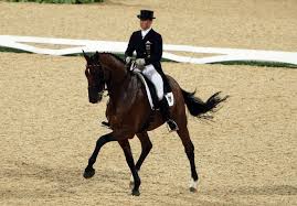 The queen of dressage took the gold at the 2019 fei european championships in rotterdam. Nothing Is Worth More Than Our Health Isabell Werth Horse Journals