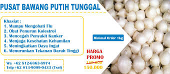 Pin On Bawang Putih Tunggal 1
