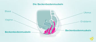 Beim rest immer mit ss oder alt ß.… das schreibt man, wenn man auch dieses oder welches für das wort das einsetzen könnte. Beckenbodentraining In Der Schwangerschaft Pampers