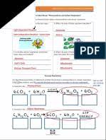 Genetics worksheet part 1 introduction, genetics worksheet answer key, basic. Multiple Alleles