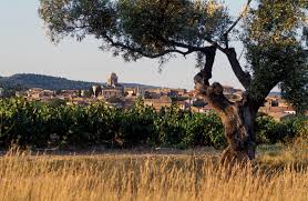 L Ostal Cazes Et Maintenant L Huile D Olive Famille Jm Cazes