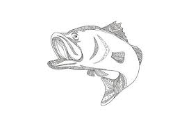 Barramundi Jumping Doodle Art Doodle Art Doodles Illustration Art