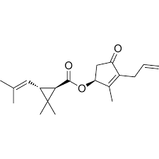 Image result for SBE Formula D touch/com