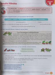 All you have to do is click on the search bar and type in the. Me Divierto Y Aprendo 5 Montenegro 2 Piezas Mercado Libre
