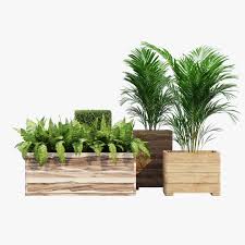 Marberry Rowlinson 3d Model Turbosquid 1608071 Primroses Palm Fern Pine Boxwood Topiary Buxus Bush Phytomodule In 2020 Flower Pots Diy Garden Square Planters