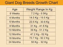 21 Competent Breed Weight Chart