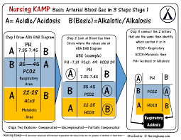 Nursing Kamp The Nurses Notes On Nursing Lab Kamp Lab