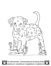 Dalmation Dog Colouring Pages Az Coloring Pages Puppy Coloring Pages Dog Coloring Page Valentines Day Coloring Page