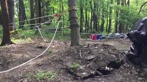 Bird Feeder Pulley System Uprooting A Tree Using A 45 To 1 Pulley System With Images Pulley Tree Landscape Materials