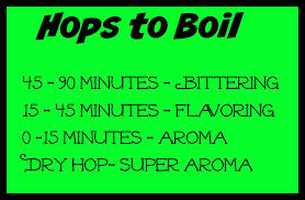 bearfootbrewer hops to boil time chart