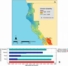 The Climatic Suitability Map A For C O Oreganus Within Coastal Download Scientific Diagram Poslednie tvity ot norcal2020census (@2020censusnorca). o oreganus within coastal