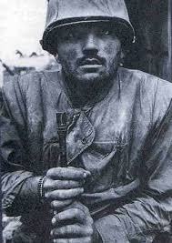 Professor Figley Polemics