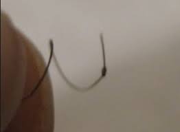 How To Get Rid Of Fairy Knots Natural Hair Styles Natural Hair Tips Haute Hair