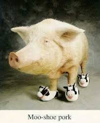 20 Adorable Animals Wearing Animal Slippers Animal Slippers Funny Animal Photos Funny Pigs
