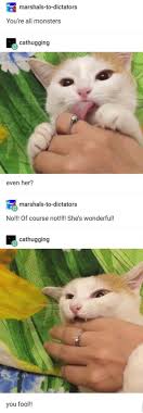 Pin By Bruh Confidential On Animals Animal Memes Cute Animals Funny Animals