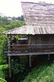 Photo Of Tree Top Ecolodge Hillside District Near Tribal Hotel Banlung Cambodia Tree Tops Beautiful Places Top Hotels