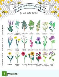 Tarihte Bir Ilk Arilarin Nesli Resmi Olarak Tukeniyor Yesilist Herkes Icin Yesil Sifali Bitki Bahcesi Bitki Organik Bahcecilik Fikirleri