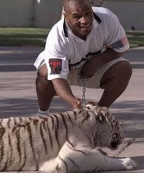 Find the perfect mike tyson tiger stock photos and editorial news pictures from getty images. Hustlin Allday Mike Tyson Owned A 550lb Bengal Tiger Facebook